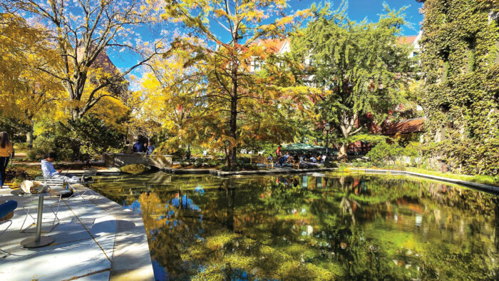 University of Chicago, Botany Pond Restoration, Phase II/III