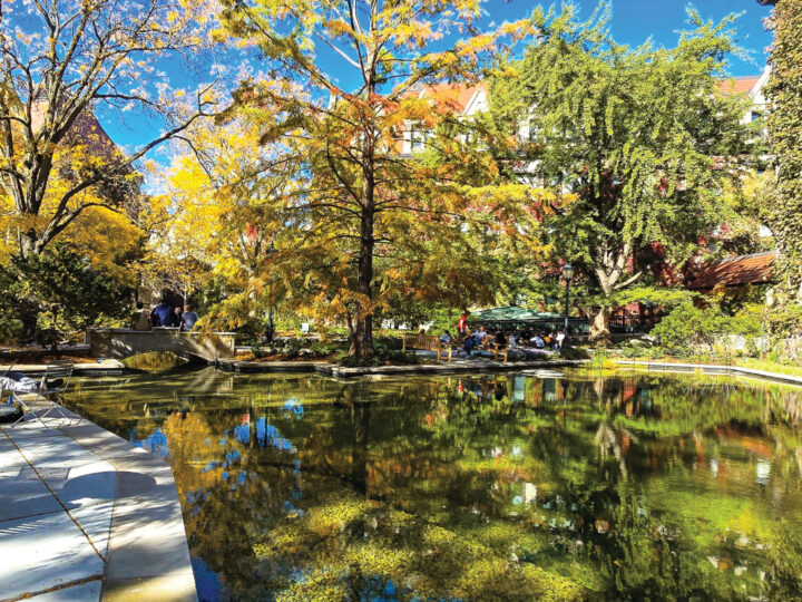 University of Chicago, Botany Pond Restoration, Phase II/III